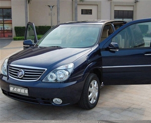 商務車（5）