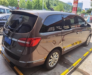 商務車（8）