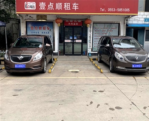 商務車（11）