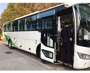 大巴車(20)